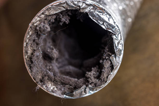 Best Affordable Duct Cleaning Services  in Junction City, CA